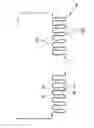 Fig. 01 - Vacuum valve bellows
