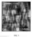 Fig. 02 - Suppression of inclined defect formation and increase in critical thickness by silicon doping on non-c-plane (Al,Ga,In)N