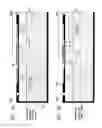 Fig. 10 - Overvoltage and/or electrostatic discharge protection device