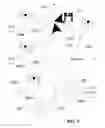 Fig. 03 - Automated allergy alerts