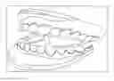 Fig. 01 - Apparatus and method for realistically expressing teeth