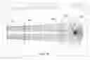 Fig. 07 - AUTOMATIC DILUTION FOR MULTIPLE ANGLE LIGHT SCATTERING (MALS) INSTRUMENT