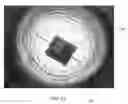 Fig. 08 - AUTOMATIC DILUTION FOR MULTIPLE ANGLE LIGHT SCATTERING (MALS) INSTRUMENT
