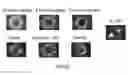 Fig. 22 - AUTOMATIC DILUTION FOR MULTIPLE ANGLE LIGHT SCATTERING (MALS) INSTRUMENT