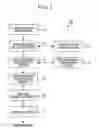 Fig. 02 - Printer, printing program, and printing method