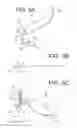 Fig. 06 - Light quantity adjustment apparatus, lens unit and optical apparatus provided with the same