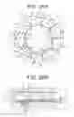 Fig. 25 - Light quantity adjustment apparatus, lens unit and optical apparatus provided with the same