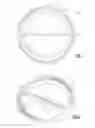Fig. 02 - Lighting device having heat dissipation element