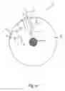 Fig. 09 - LIGHTING DEVICE
