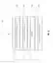 Fig. 15 - Acknowledgement / negative acknowledgement feedback for TDD