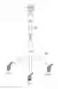 Fig. 01 - Apparatus and method of managing radio bearer in wireless communication system