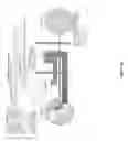 Fig. 96 - Secure and seamless WAN-LAN roaming