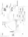 Fig. 43 - Moving picture coding method, and moving picture decoding method