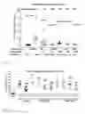 Fig. 03 - COMPOSITION FOR TREATMENT OF CXCL8-MEDIATED LUNG INFLAMMATION