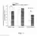 Fig. 02 - Method for ameliorating or preventing arrhythmic risk associated with cardiomyopathy