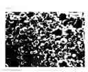 Fig. 08 - Biodegradable PAOX polymer particle with cationic property