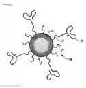 Fig. 02 - Drug loaded polymeric nanoparticles and methods of making and using same