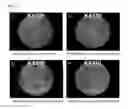 Fig. 08 - Surface treatment method for a substrate using denatured urushiol derived from 