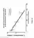 Fig. 08 - METHOD FOR ADMINISTRATION OF PEGYLATED LIPOSOMAL DOXORUBICIN