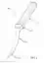 Fig. 02 - COCONUT TOOL