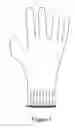 Fig. 02 - Supported elastomeric glove with enhanced gripping surface and a method of transferring of patterns onto a dipped elastomeric glove surface