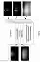 Fig. 09 - Depositing Calcium Fluoride Template Layers for Solar Cells