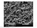 Fig. 01 - Dry adhesives comprised of micropores and nanopores