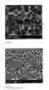 Fig. 03 - Dry adhesives comprised of micropores and nanopores