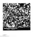 Fig. 04 - Dry adhesives comprised of micropores and nanopores