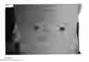 Fig. 16 - Dry adhesives comprised of micropores and nanopores