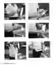 Fig. 17 - Dry adhesives comprised of micropores and nanopores