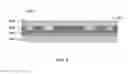 Fig. 06 - REDUCED RESIDUAL FORMATION IN ETCHED MULTI-LAYER STACKS