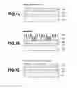 Fig. 02 - RESIST COMPOSITION AND PATTERNING PROCESS