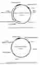 Fig. 01 - Method of Producing Methionine in Corynebacteria by Over-Expressing Enzymes of the Pentose Phosphate Pathway