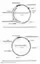 Fig. 02 - Method of Producing Methionine in Corynebacteria by Over-Expressing Enzymes of the Pentose Phosphate Pathway