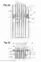 Fig. 03 - Algae growth system