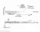 Fig. 09 - Apparatus for facilitating evaluating migration of cells in vitro