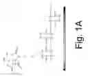 Fig. 02 - Nanoparticulate cell culture surface