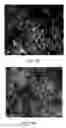 Fig. 22 - Nanoparticulate cell culture surface