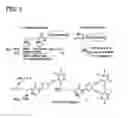 Fig. 02 - Dipeptide acetylene conjugates and a method for photocleavage of double strand DNA by dipeptide acetylene conjugates
