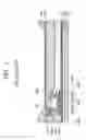 Fig. 02 - Organic light emitting display device and method of fabricating the same