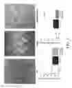 Fig. 06 - Method for modulating or controlling connexin 43(Cx43) level of a cell and reducing arrhythmic risk
