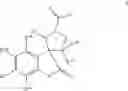 Fig. 167 - Spiro-oxindole MDM2 antagonists