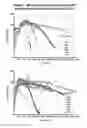 Fig. 08 - METHODS AND COMPOSITIONS FOR APPLYING MOXIFLOXACIN TO THE EAR