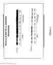 Fig. 02 - Antisense modulation of PTP1B expression