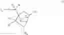 Fig. 07 - Antisense modulation of PTP1B expression