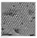 Fig. 01 - Catalyst, Method for Manufacturing the Same by Supercritical Fluid and Method for Hydrogenating an Aromatic Compound by Using the Same