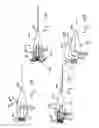 Fig. 12 - Needle for bloodless IV