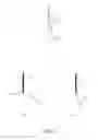 Fig. 04 - Artificial hair transplantation method