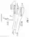 Fig. 02 - STRUCTURES FOR PERMANENT OCCLUSION OF A HOLLOW ANATOMICAL STRUCTURE